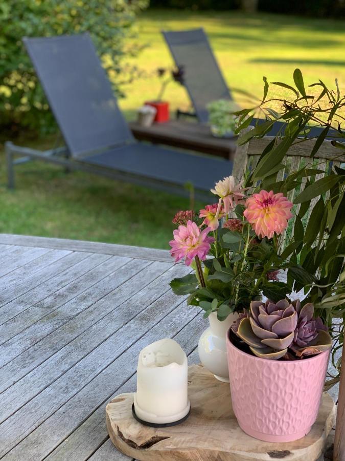 La Maison Les Mimosas Le Minihic-sur-Rance 外观 照片