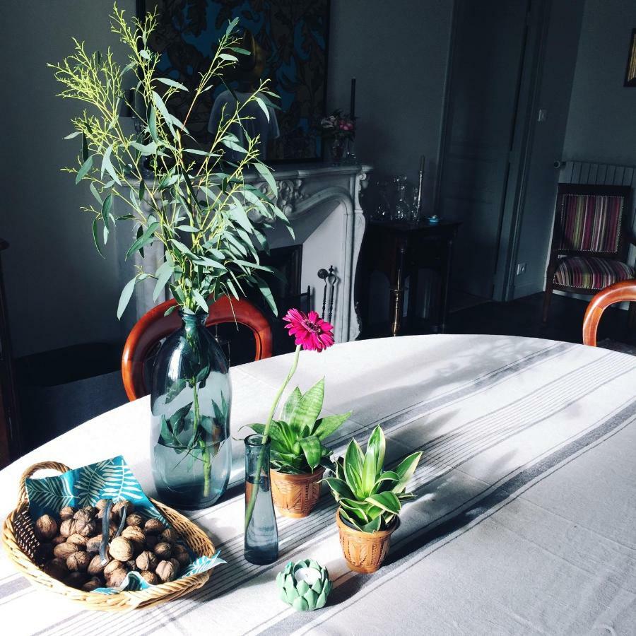 La Maison Les Mimosas Le Minihic-sur-Rance 外观 照片